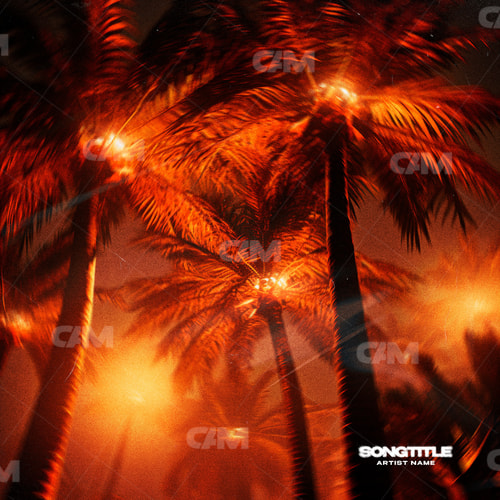 Palm Trees