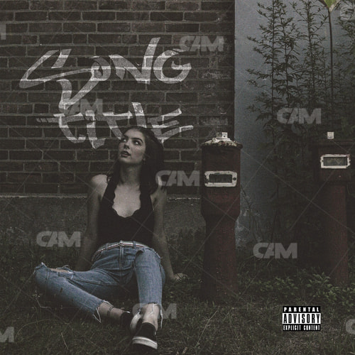 Aesthetic Girl On Wall