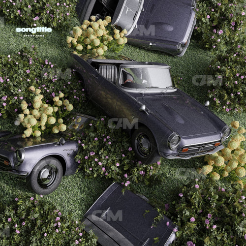 Car In The Grass