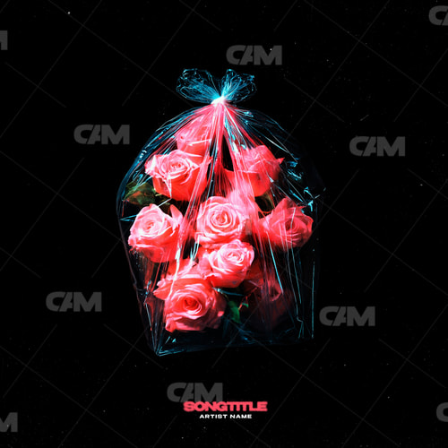 Roses In A Bag