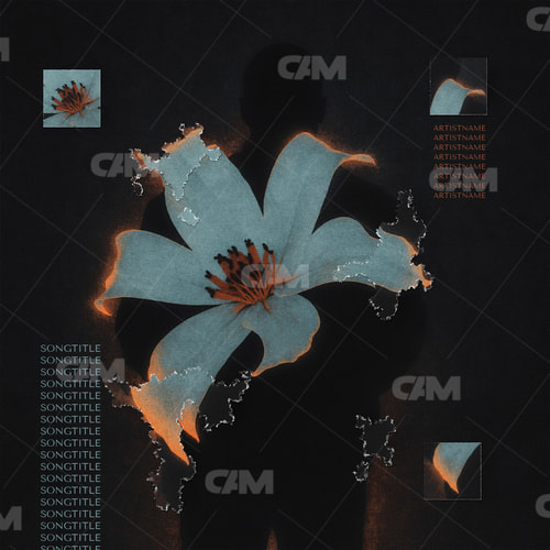 Silhouette With A Flower